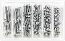M6 Euro Torx Flange Bolt Assortment 100 Piece Kit