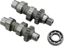 ANDREWS Cam Set - TW21 - Chain Drive - Twin Cam 288121