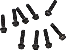 MOOSE OFFROAD Clutch Cover Screw - Polaris 100-2185-PU