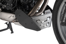 SW-MOTECH Adventure Protection System - BMW - F 900 XR ADV.07.949.76000