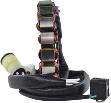 RM STATOR Stator and Gasket Kit - Yamaha RM22611