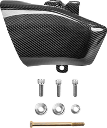 SADDLEMEN Air Scoops - Carbon Fiber/Gloss - Harley-Davidson® - Trike/Touring CF-817-07-001