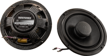 WILD BOAR AUDIO Amplifier/Speaker Kit - 500 W - FLTR HOG WILD RG2-24