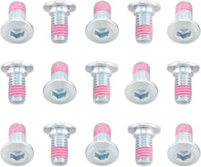 Rotor Bolts Suz/Kaw