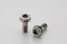 AELLA Titanium Bolt / Rear Caliper Mount Bolts M8L20 x 1.25