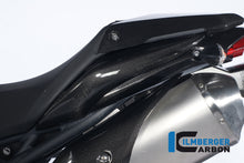 Ilmberger Carbon Underseat Side Panel Left, for the Triumph Speed Triple '11-25
