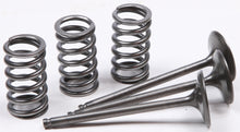 Intake Valve Conversion Set Ti Steel Gas/Yam