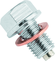 BikeMaster Magnetic Oil Drain Plug 10x1.25mm - Stainless