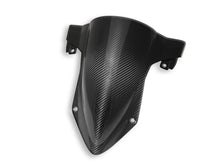DBK Special Parts (Ducabike) Twill Carbon Fiber Windscreen for BMW S1000RR / M1000RR (2020+)