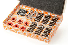 EVR Dry Clutch Stainless Steel Hardware kit (Retainers Springs Screws and Throw-out Bearing)