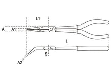 Beta Tools Model 1009 L/B-Curved Extra Long Nose Pliers