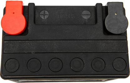Battery Ytx14l 240cca Factory Activated Sealed Agm