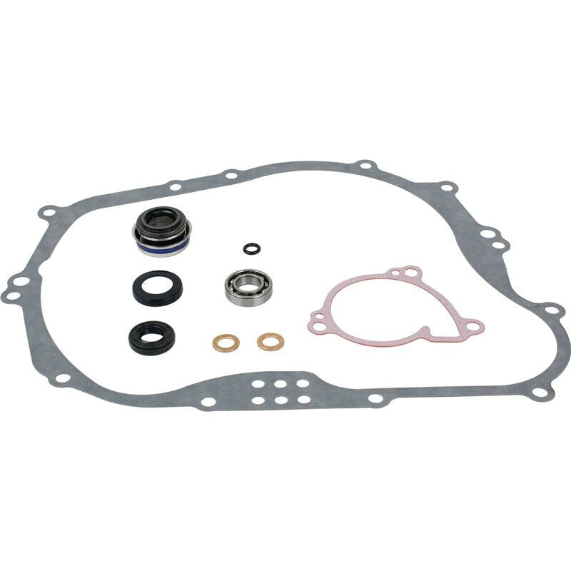 Water Pump Rebuild Kit