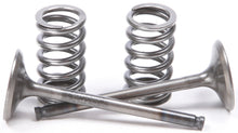 Exhaust Valve Conversion Set Ti Steel Gas/Yam