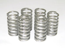 DBK Special Parts (Ducabike) Dry Clutch Springs (6)