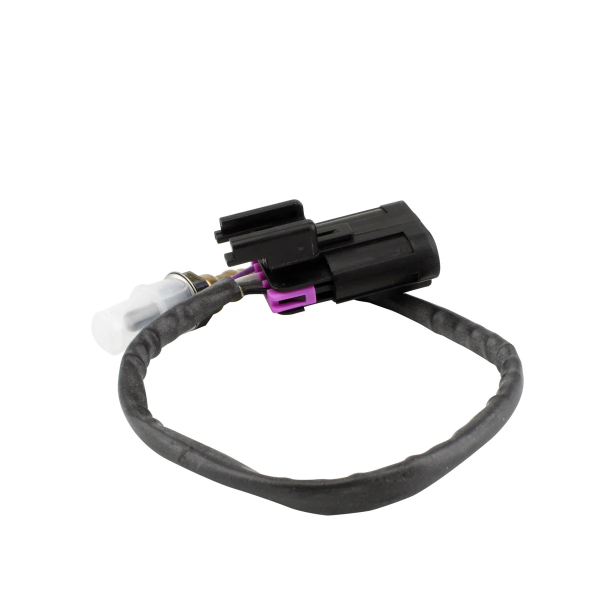 Oxygen Sensor Pol