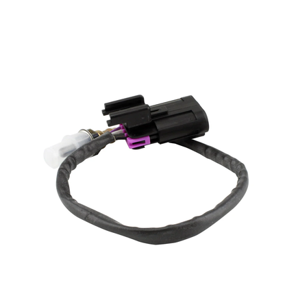 Oxygen Sensor Pol