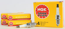 Spark Plug #2095/10