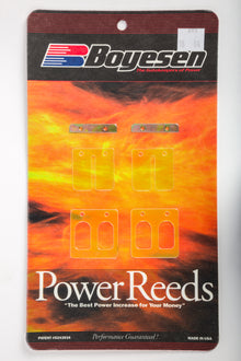 Motorcycle Reeds