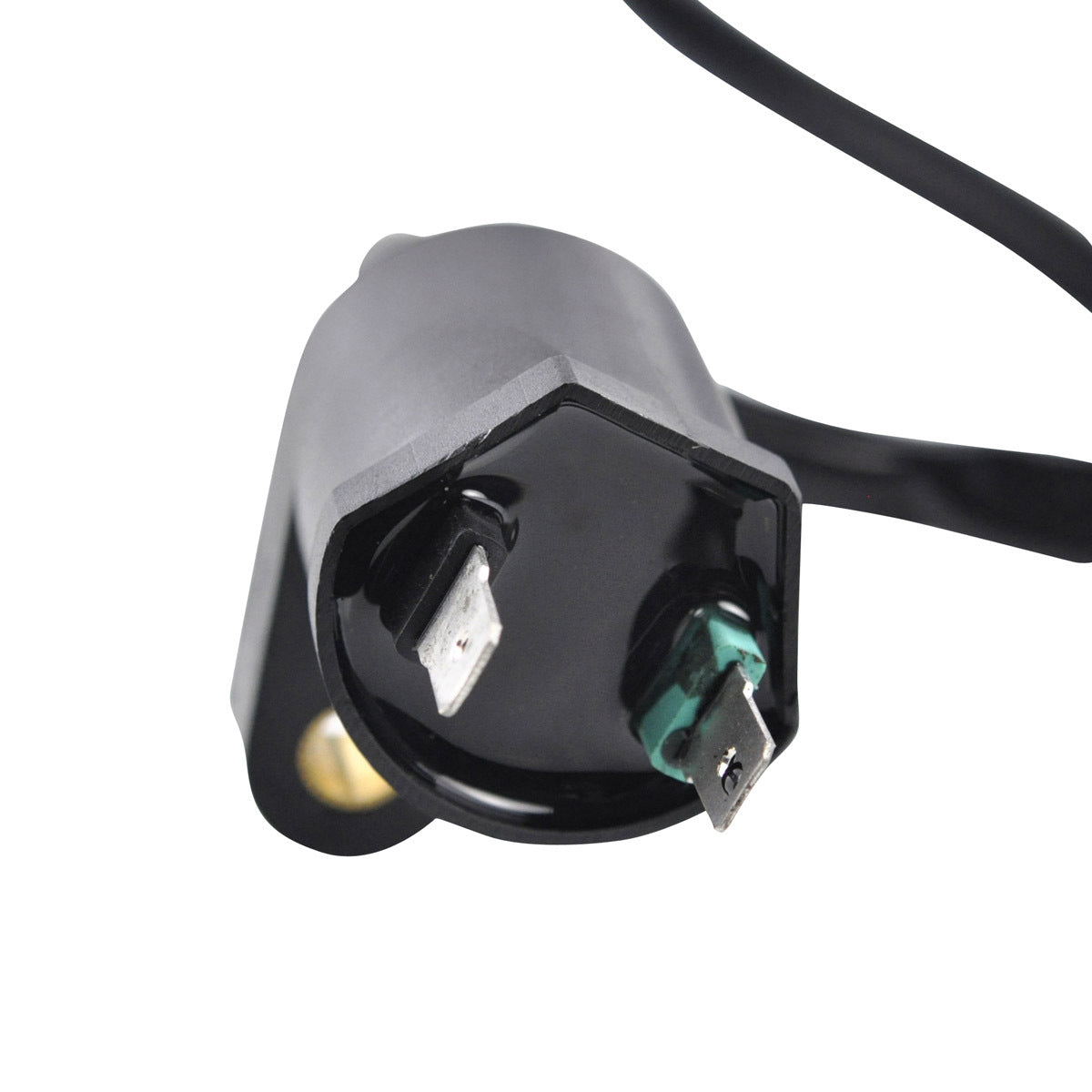 External Ignition Coil W/Spark Plug Cap
