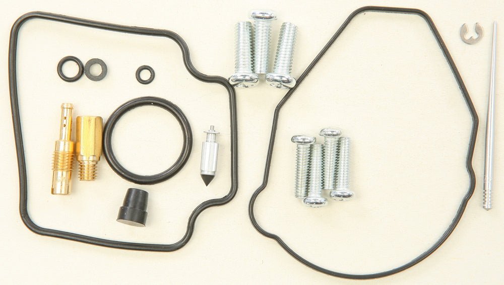 Carburetor Repair Kit