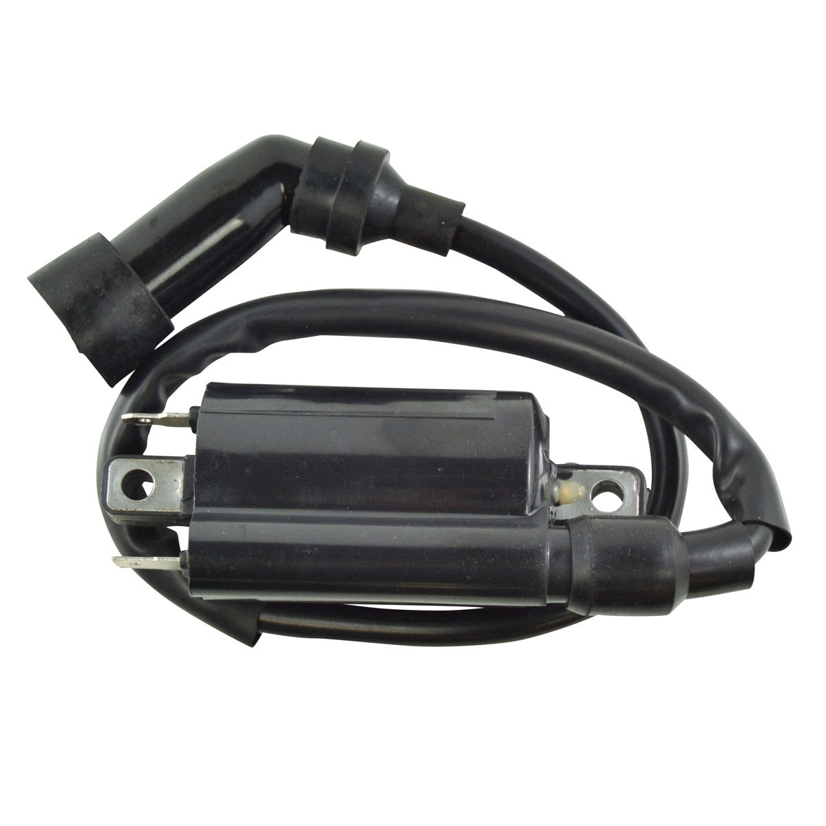 External Ignition Coil W/Spark Plug Cap