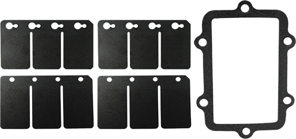 Reed Valve Rebuild Kit S D
