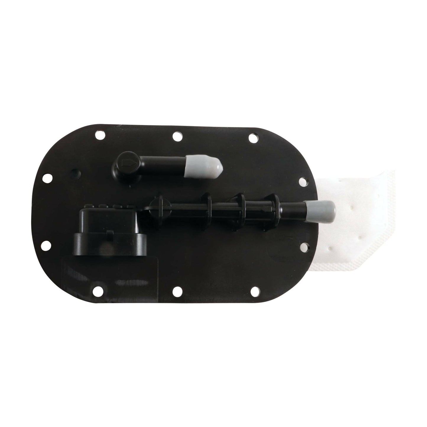 Fuel Pump Assembly