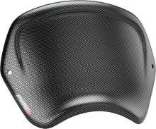 Front Plate Carbon