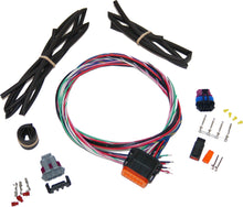 Twin Cam Ignition Harness Stand Alone