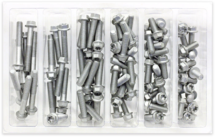 M6 Euro Torx Flange Bolt Assortment 100 Piece Kit