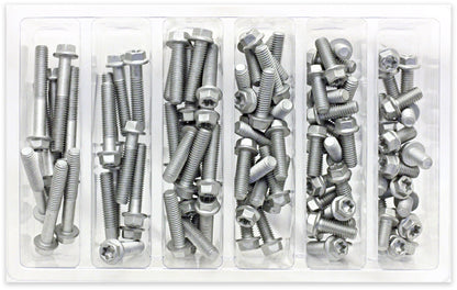 M6 Euro Torx Flange Bolt Assortment 100 Piece Kit