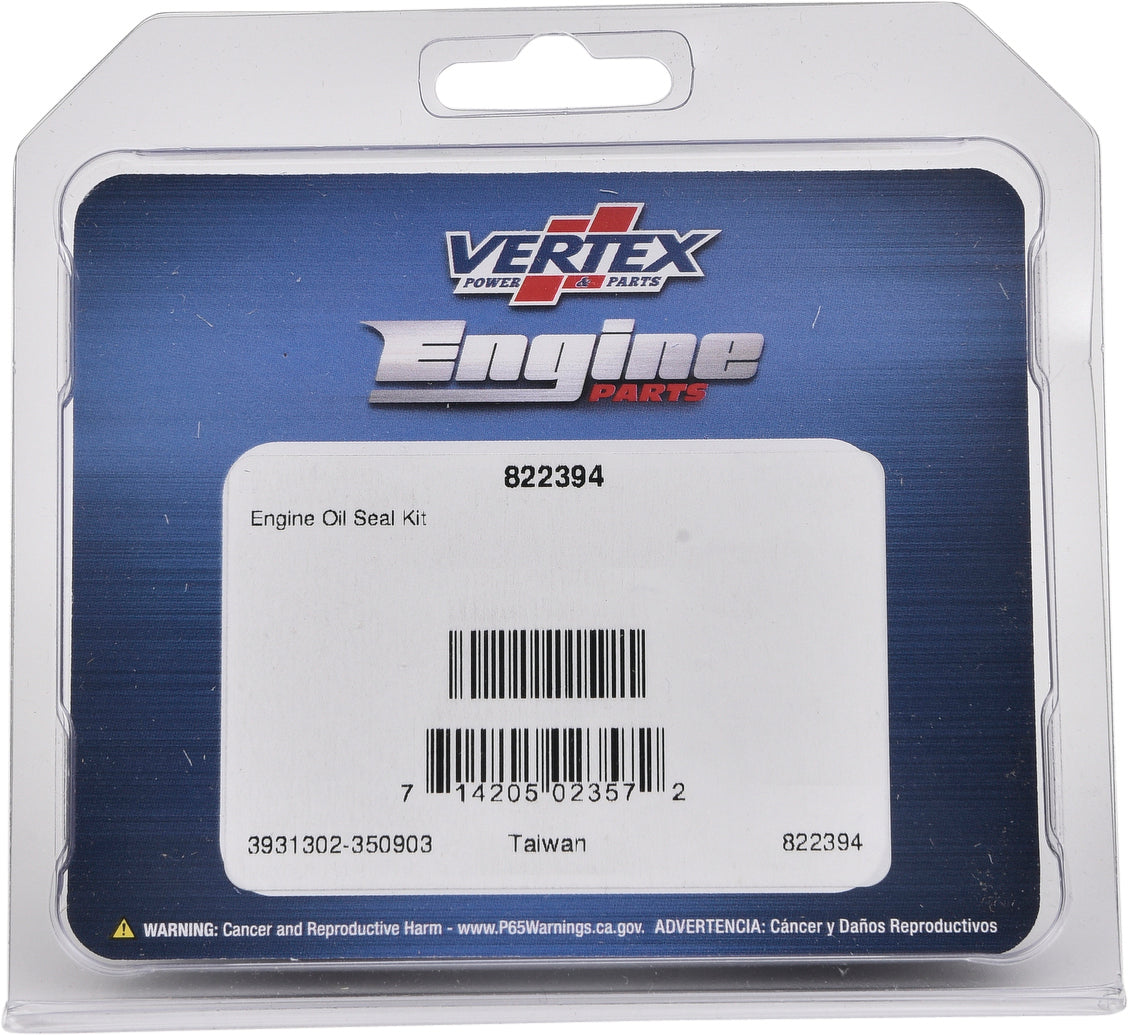 Oil Seal Kit