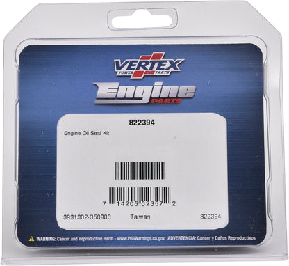 Oil Seal Kit
