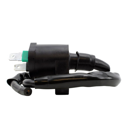 External Ignition Coil