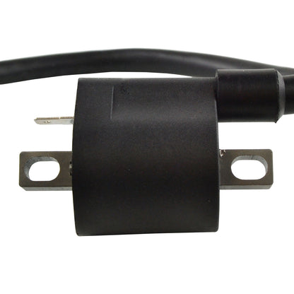 External Ignition Coil W/Spark Plug Cap