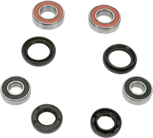 PIVOT WORKS Wheel Bearing Kit - Front - TRX 250/300/400 PWFWK-H11-420