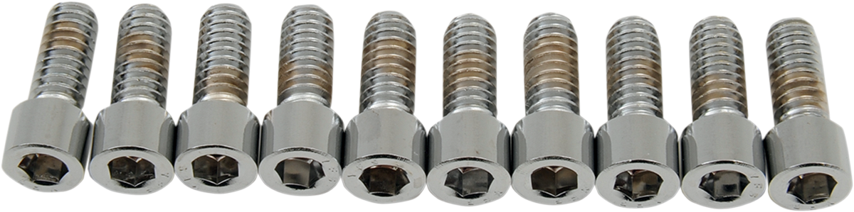 DRAG SPECIALTIES Bolts - Socket-Head - Smooth - 1/4-20 x 5/8" MPB178S