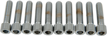 DRAG SPECIALTIES Bolts - Socket-Head - Smooth - 1/4-20 x 1" MPB181S