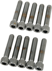 DRAG SPECIALTIES Bolts - Socket-Head - Knurled - 1/4-20 x 1-1/4" MPB182