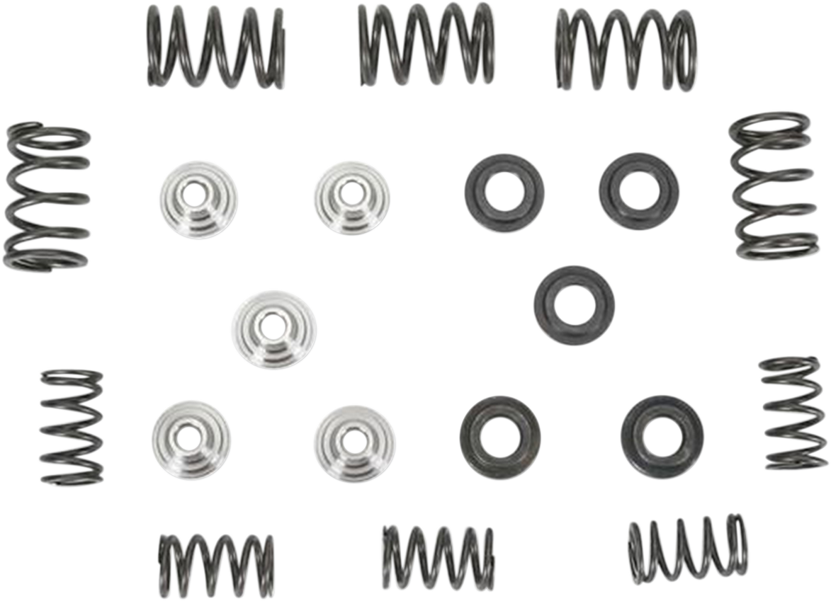 KIBBLEWHITE Valve Spring Kit - 0.450" Lift - Yamaha 80-80030