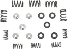 KIBBLEWHITE Valve Spring Kit - 0.450" Lift - Yamaha 80-80030