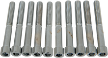 DRAG SPECIALTIES Bolts - Socket-Head - Smooth - 1/4-20 x 2" MPB185S