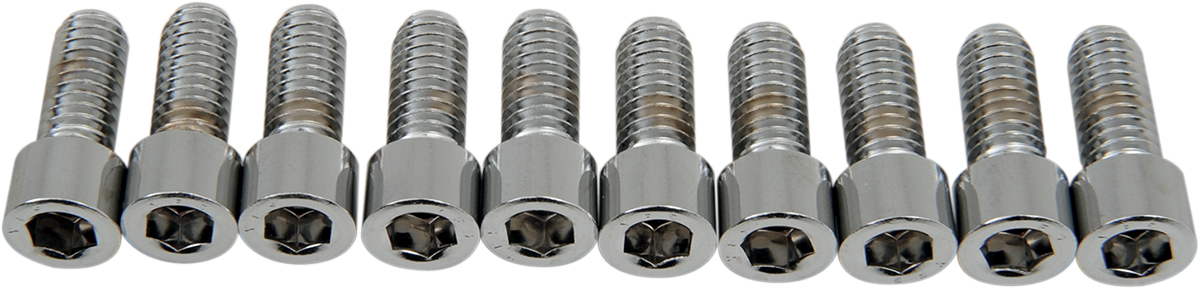 DRAG SPECIALTIES Bolts - Socket-Head - Smooth - 5/16-18 x 3/4" MPB215S