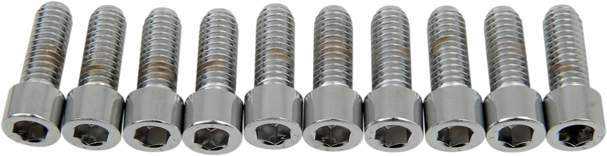 DRAG SPECIALTIES Bolts - Socket-Head - Smooth - 5/16-18 x 7/8" MPB216S