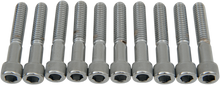 DRAG SPECIALTIES Bolts - Socket-Head - Knurled - 5/16-18 x 1-3/4" MPB220