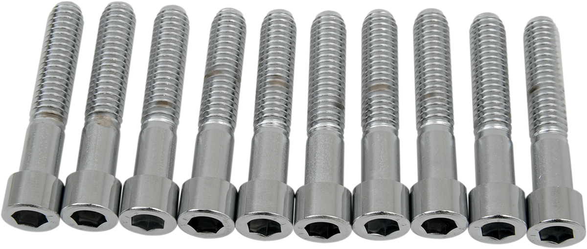DRAG SPECIALTIES Bolts - Socket-Head - Smooth - 5/16-18 x 1-3/4" MPB220S