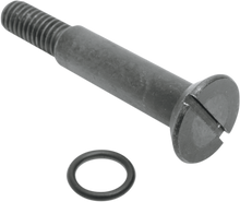 JAMES GASKET Screw with O-Ring JGI-31478-65-X
