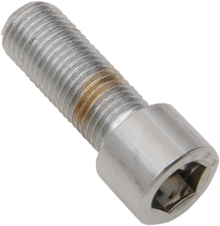 DRAG SPECIALTIES Bolts - Socket-Head/Replacement - Smooth/Fine Thread - 3/8"-24 x 1-1/4" - 10 Pack MPB251S