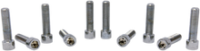 DRAG SPECIALTIES Bolts - Socket-Head/Replacement - Smooth/Fine Thread - 3/8"-24 x 1-1/2" - 10 Pack MPB252S
